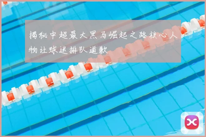 揭秘中超最大黑马崛起之路核心人物让球迷排队道歉