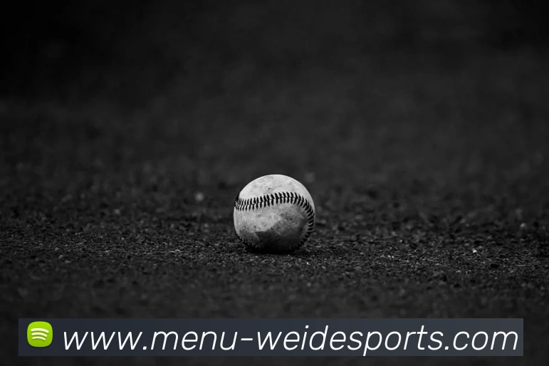 伟德体育APP 高清赛事图